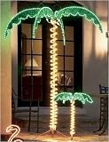 7' Tropical Lighted Holographic Rope Light Outdoor Palm Tree