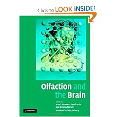 Olfaction and the Brain by Warrick J. Brewer, David Castle, Christos Pantelis and Peter Doherty