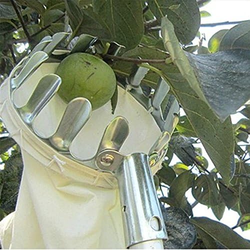 New Convenient practical Horticultural Fruit Picker Gardening Apple Pear Peach Tools New