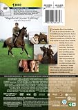 War Horse