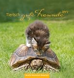 Produkt-Bild: Tierisch gute Freunde 2013: Postkartenkalender