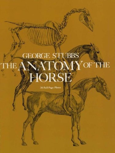 The Anatomy of the Horse (Dover Anatomy for Artists)