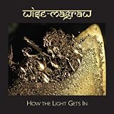 Image of How the Light Gets In