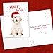 Canopy Street Labrador Love Holiday Card Pack / 25 Cards And Envelopes Pack/Festive Santa Hat Puppy Design With Greeting Inside/Dog Christmas And New Year Cards