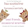 Best Friends, Occasional Enemies: The Lighter Side of Life as a Mother and Daughter