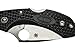 Spyderco Dragonfly2 Lightweight Black FRN SpyderEdge Knife
