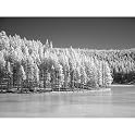 Frozen Lake Gallery Wrapped Canvas - 24x36"
