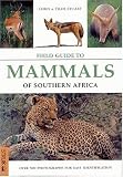 A Field Guide to Mammals of Southern Africa