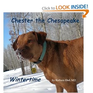 Chester Chesapeake Wintertime Barbara Ebel