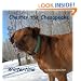 Chester Chesapeake Wintertime Barbara Ebel