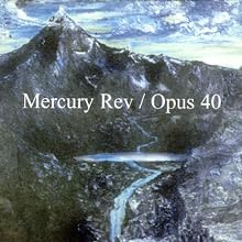 Opus 40