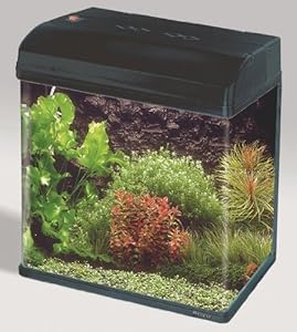 Boyu Aquarium complet Boyu MR 418 noir 37 l 39.8 x 25 x 39 cm