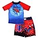 DC Comics Marvel Nickelodeon Rash Guard and Trunks Swimwear Set