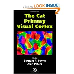 The Cat Primary Visual Cortex