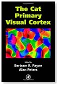The Cat Primary Visual Cortex