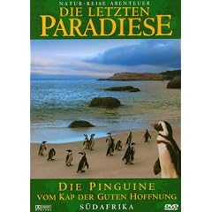 Die letzten Paradiese - Die Pinguine vom Kap der guten Hoffnung