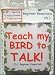 Bird CD - Teach My Bird to Talk - CD1 A Great Start Beginner Essentials Bird Vocabulary - 91 Tracks - Great for all Talking Birds & Parrots - Made in USA- Veterinay Approved to Reduce Boredom & Feather Plucking