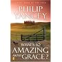 What's So Amazing About Grace?