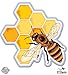 Honey Bee Honey Comb - 3