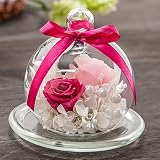 �o�� �Q�� �s���N �v���U�[�u�h�t�����[ ��̓� �a���� �N���X�}�X �z���C�g�f�[ �������M�t�g�ɂ� �K���X�|�b�g