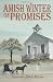 Books : Amish Winter of Promises: Book Four