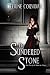 Books : The Sundered Stone