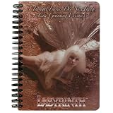 51I03vTT4%2BL. SL160  Labyrinth   Fairy Journal 