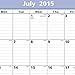 AT-A-GLANCE Monthly Wall Calendar, QuickNotes Design, Academic Year, 12 Months, July 2015–June 2016, 12 x 17 Inch Page Size (PM53-28)