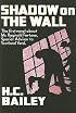 Shadow on the Wall (Rue Morgue Vintage Mystery)
