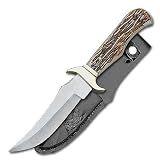 Sporting Goods : Stag Hunter Knife