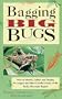 Bagging Big Bugs: How to Identify, Collect, and Display the Largest and Most Colorful Insects of the Rocky Mountain Region