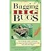 Bagging Big Bugs: How to Identify, Collect, and Display the Largest and Most Colorful Insects of the Rocky Mountain Region