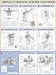 Strength Training Anatomy: Strength Training for the Shoulders Poster
