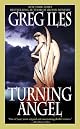 Turning Angel: A Novel
