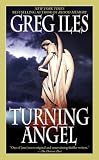 Turning Angel: A Novel