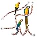 Jusney Bird Rope Perches,Parrot Toys 36 inches Rope Bungee Bird Toy (36 inches)[1 Pack]