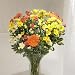 Flowers by Post, Luxury Fresh Flowers Seasonal Bou