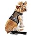 Doggie Design Cool Lightweight Netted Mesh Dog Harness with matching Leash (Medium, Solid Black)