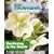 Alan Titchmarsh How to Garden: Gardening in the Shade