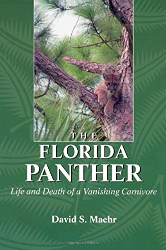 the florida panther life and death of a vanishing carnivore