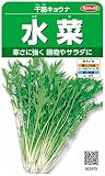 サカタのタネ 実咲野菜2970 千筋キョウナ 水菜 10袋セット