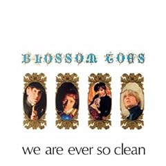 We Are Ever So Clean [Vinyl LP] [Vinyl LP]