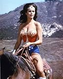 LYNDA CARTER 24x36 COLOR POSTER PRINT