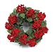 Melrose International 30338 Geranium Twig and Polyester Wreath, 22-Inch Diameter