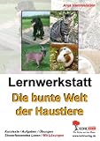 Lernwerkstatt - Die bunte Welt der Haustiere