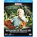 Kingdom of Plants in 3D (Blu-ray 3D)