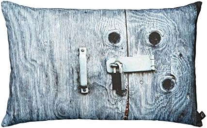 Blue Door with Padlock Decorative Pillow