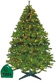 Barcana 9-Foot Alaskan Fir iTree Techno Tree with Clear and Mini Incandescent Lights