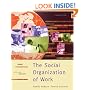 The Social Organization of Work