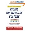 Riding the Waves of Culture: Understanding Diversity in Global Business - revised and updated third edition: Understanding Cultural Diversity in Business